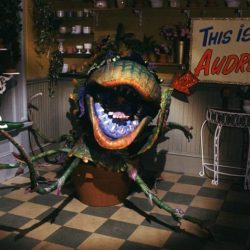 Little shop of horrors trivia