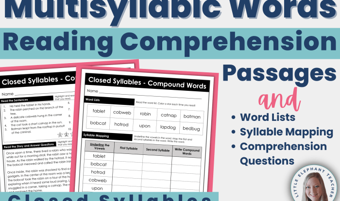 Syllables multisyllabic